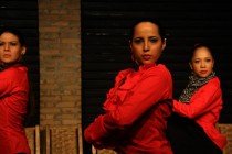 Show com Pedro Fernández