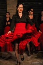 Dança Flamenca Campinas