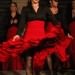 Dança Flamenca Campinas