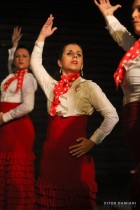 Dança Flamenco Campinas