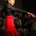 Dança Flamenca Campinas