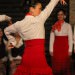 Dança Flamenca Campinas