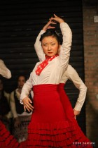 Dança Flamenca Campinas