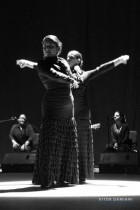 15ª Semana Espanhola de Campinas