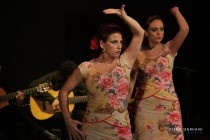 IMG_0007 IMG_0007