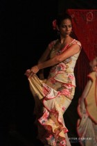 IMG_0034 IMG_0034