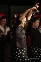 IMG_0146 IMG_0146