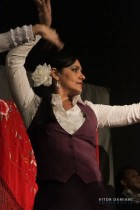 IMG_0226 IMG_0226