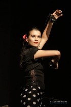 IMG_0260 IMG_0260