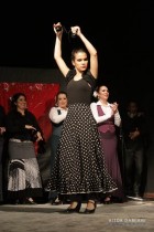 IMG_0262 IMG_0262