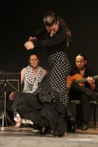 IMG_0274 IMG_0274
