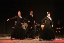 IMG_0297 IMG_0297