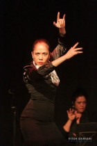 IMG_0308 IMG_0308