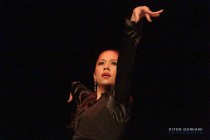 IMG_0422 IMG_0422