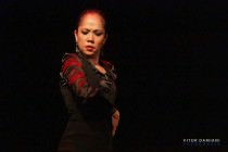 IMG_0438 IMG_0438