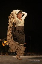 IMG_0509 IMG_0509