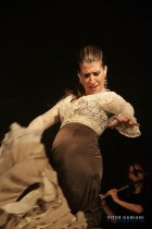 IMG_0518 IMG_0518