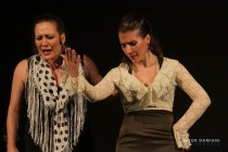 IMG_0683 IMG_0683