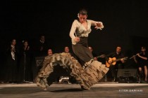 IMG_0730 IMG_0730