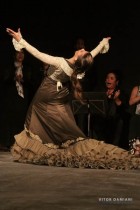 IMG_0749 IMG_0749