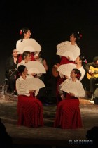 IMG_0754 IMG_0754