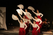 IMG_0769 IMG_0769