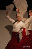 IMG_0781 IMG_0781