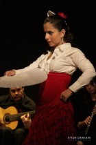 IMG_0786 IMG_0786