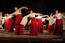 IMG_0796 IMG_0796