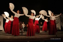 IMG_0797 IMG_0797