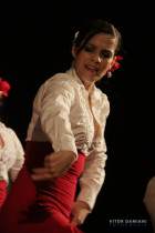 IMG_0899 IMG_0899