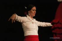 IMG_0910 IMG_0910