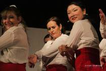 IMG_0916 IMG_0916