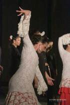 IMG_9819 IMG_9819