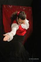 IMG_9894 IMG_9894