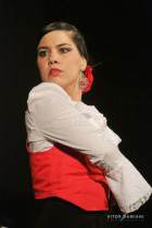 IMG_9955 IMG_9955