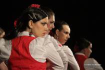 IMG_9973 IMG_9973