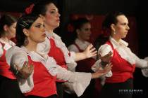 IMG_9990 IMG_9990