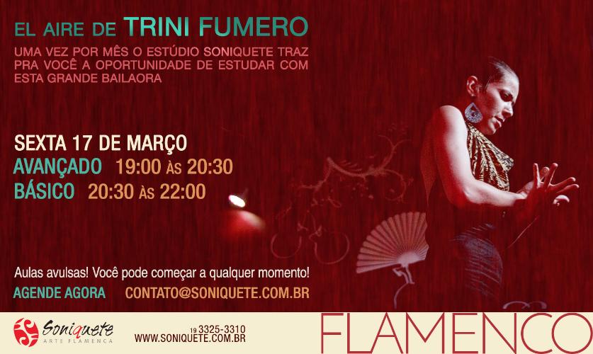 dança flamenca campinas