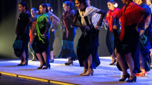 Flamenco-Campinas-Dança-Flamenca-Soniquete-19-1320x880