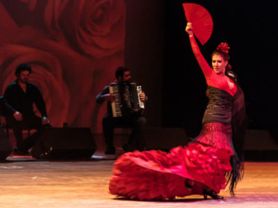 flamenco1-600x449
